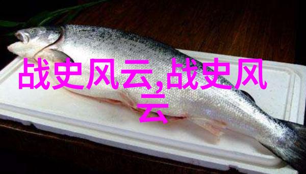 从东汉到西魏晋朝存在年的回顾