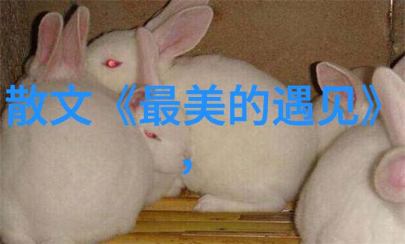 科技进步如何影响历史发展