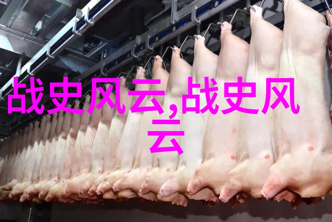 血腥的密码揭秘407事件背后的阴谋