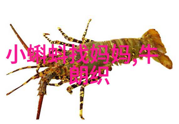 千年沉默的城堡揭秘中世纪最神秘的遗迹