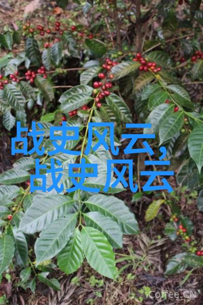班长哭着说不能再C了视频-泪与坚持班长的C字终结宣言