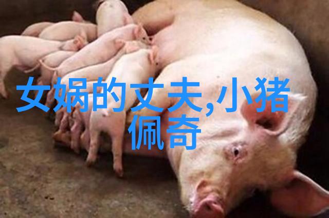 血腥与诡计解读70年代恐怖片中女性角色的转变