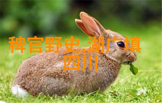 明朝权臣之辉煌张居正与国家复兴