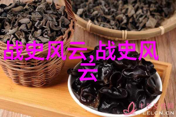 辽阔帝国的落幕探秘元朝覆灭之谜
