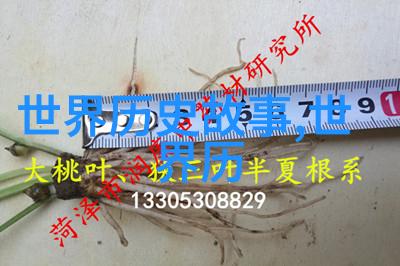 帝影幽情揭秘古代帝王私生活的那些趣事