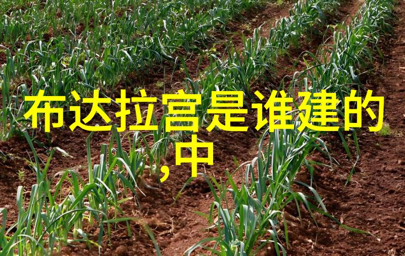 2022年真实搞笑新闻网络流行语走红学校教材误引学生作弊