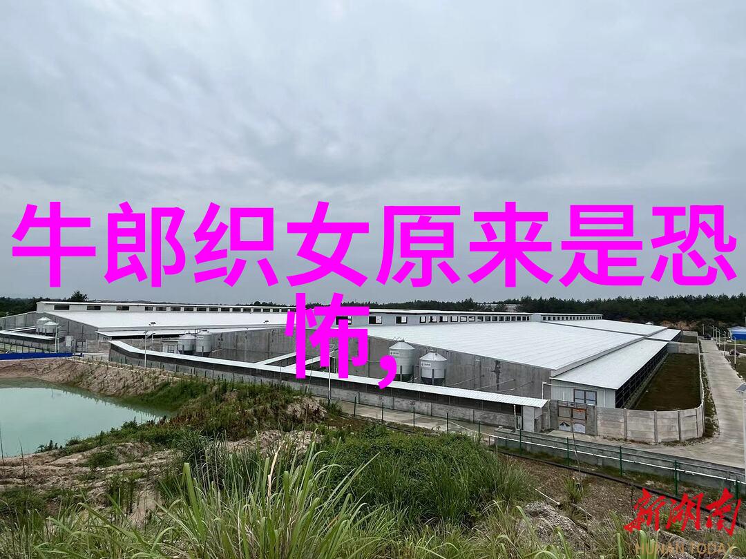 龙王寻仇民间神话传说中的海底捞鸡事件