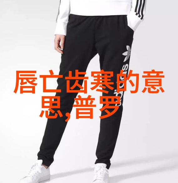燕易王的故事我和那位神秘的燕易王的奇妙遭遇