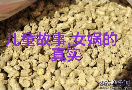 陕西历史文化名人之项安世诗文全集共鸣