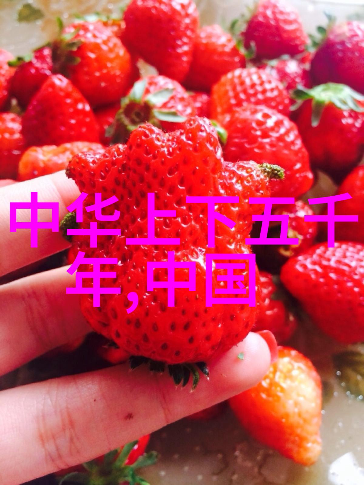 明朝政权结构与治理体系的演变研究从朱元璋到崇祯的制度变迁