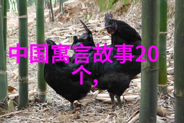 盘古开天辟地中国神话故事十篇精选
