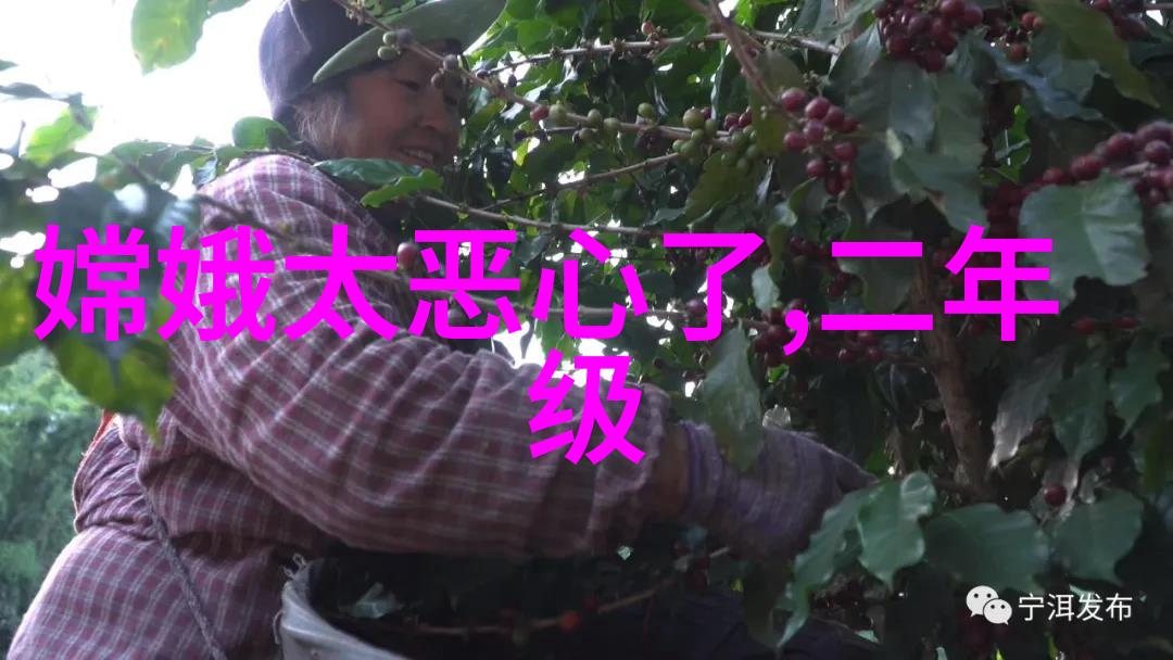 春节晚会惊魂闹鬼现身舞台的奇异夜晚