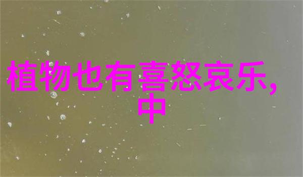 清宫秘闻录乾隆帝的宠妃与奢华生活