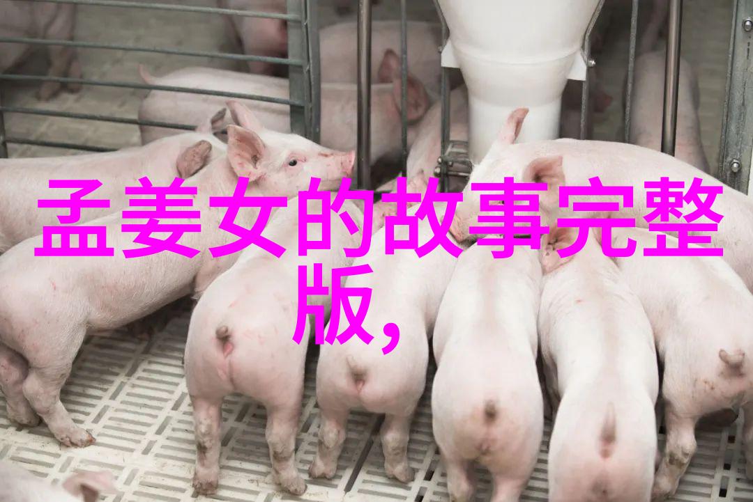 从三国演义到水浒传哪个书中藏着更多历史真相