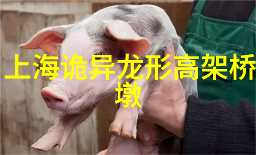 明朝皇帝列表从盛世到衰落的历代君主顺序及简介