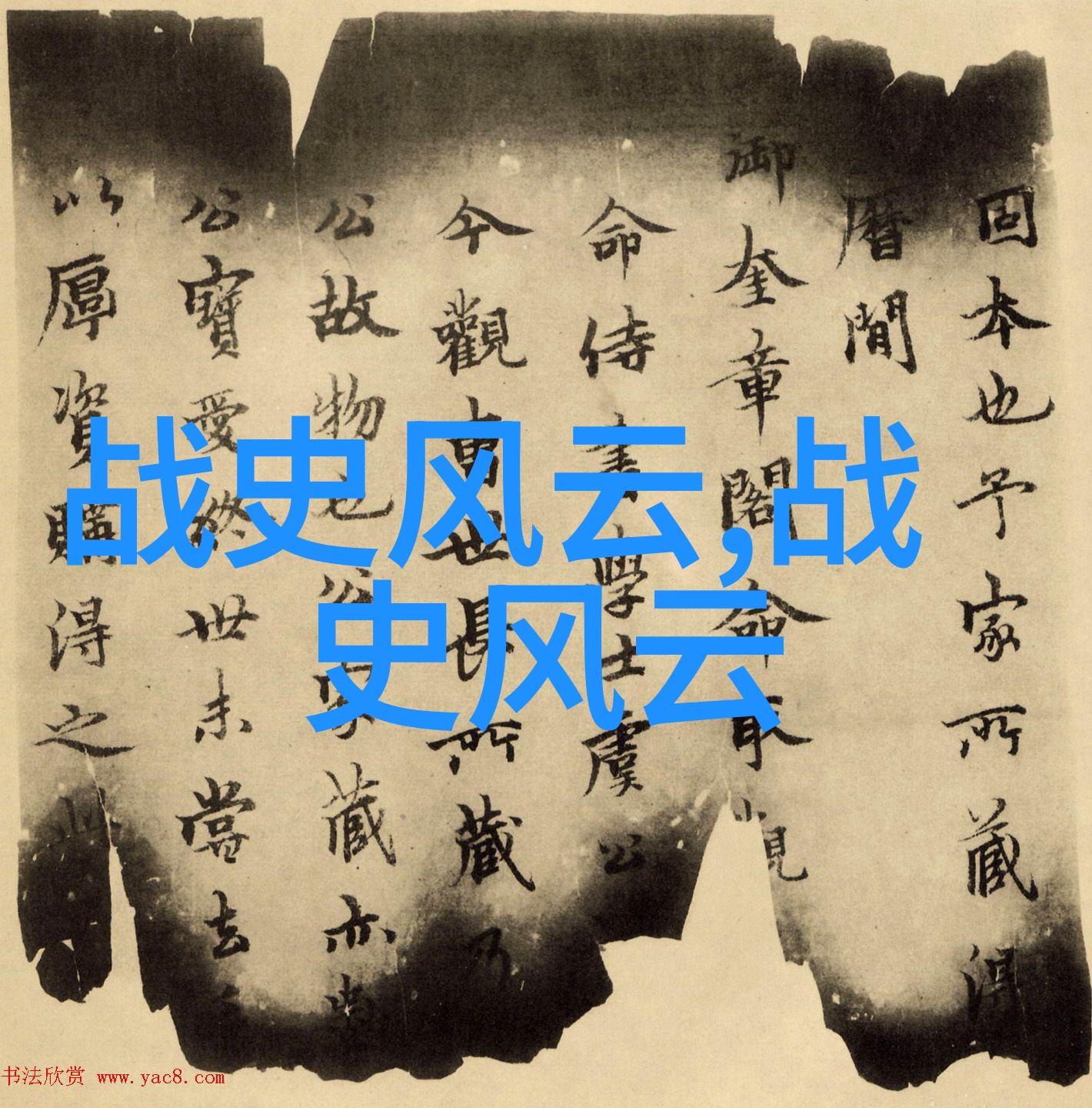 森林中的守护者小熊的秘密
