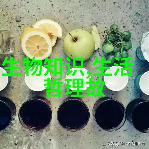 历史上的秘密图书馆与失落的文明记载