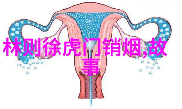 老太太的秘密生活揭秘HD视频背后的故事