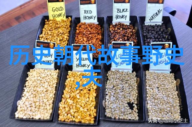宝宝的扇贝之旅WWW探秘小朋友的海洋友伴