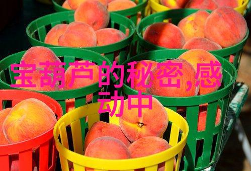 红色故事背后的历史悲剧深度剖析