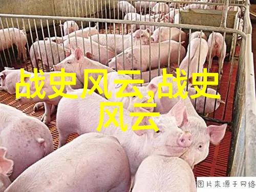 C死了啊哈宝宝腰好会扭CBL系统的重要性与预防策略