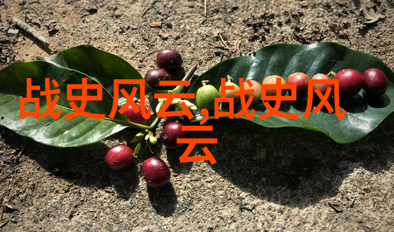 梁山好汉的风云岁月