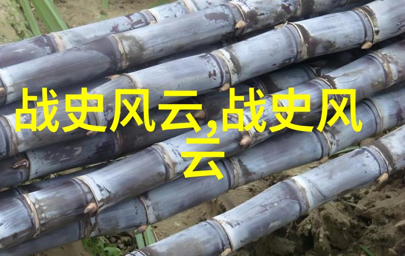 清朝皇帝为何要娶蒙古妃子其实目的只有一个回宫太监换取珍贵物品