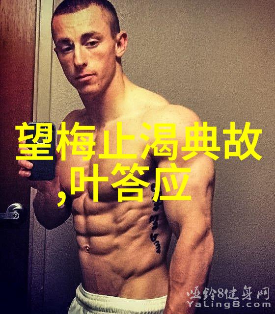 清穿之皇贵妃晋升记古代宫廷权谋女主崛起