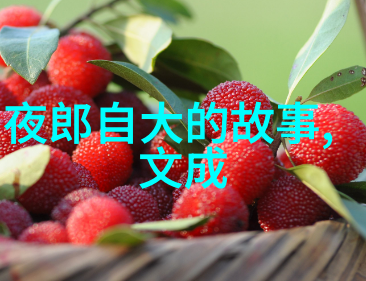 古今成语秘笈揭开千年典故的神秘面纱