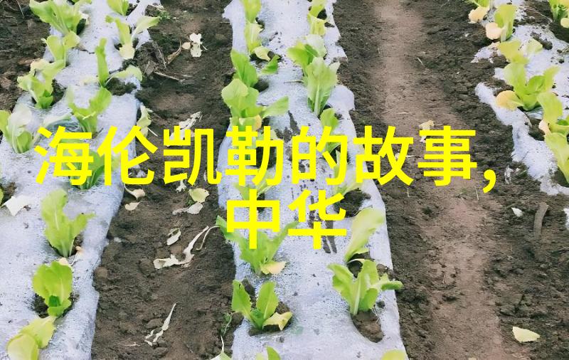 穿越千年探索中国历史故事的丰富篇章