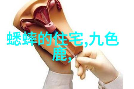 重生隋唐霸占美人的故事