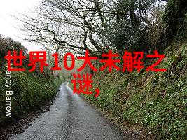香港青松观侯宝桓道长国学小名士的社会思考