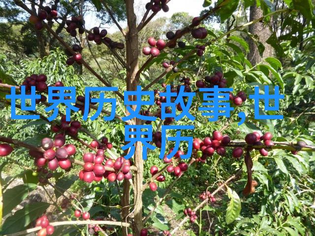 黄梅戏孟丽君的艺术盛宴第五届黄梅戏艺术节开幕式与闭幕式并举首次以露天形式呈现