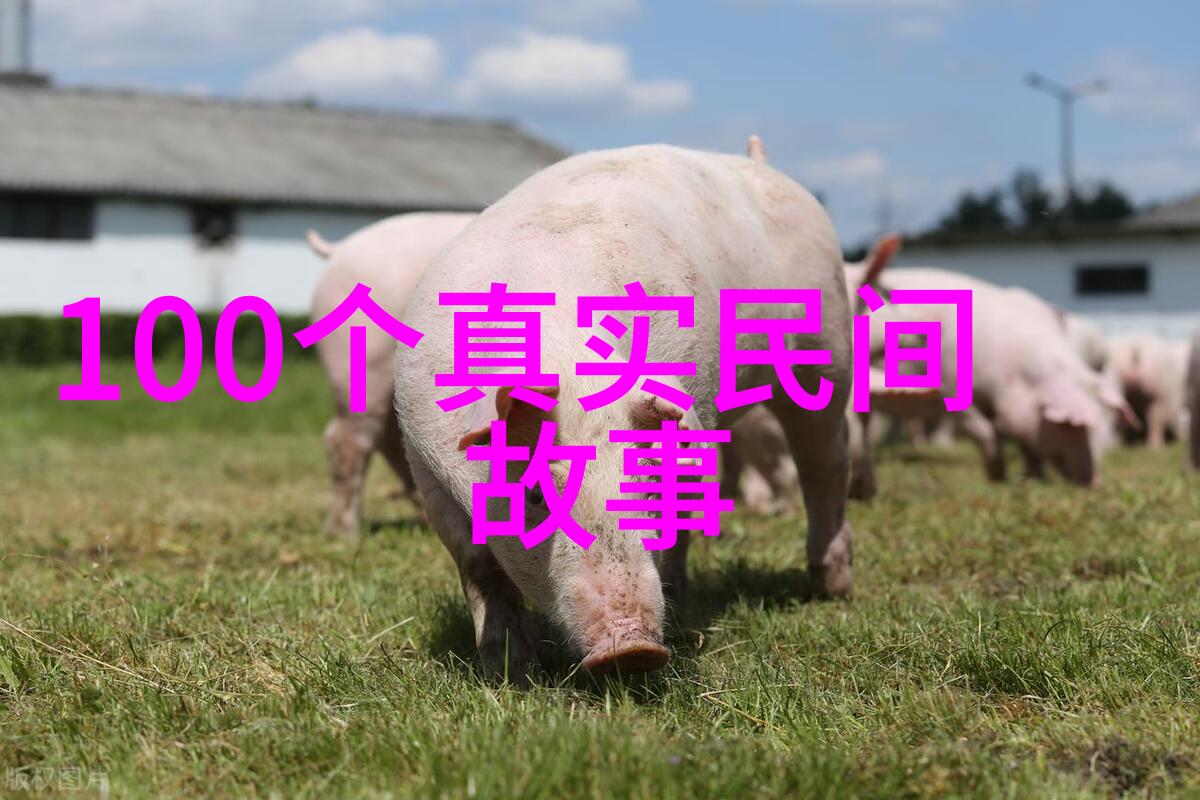中国真实的历史故事-揭秘千年隋唐华夏文明的辉煌与沉浮