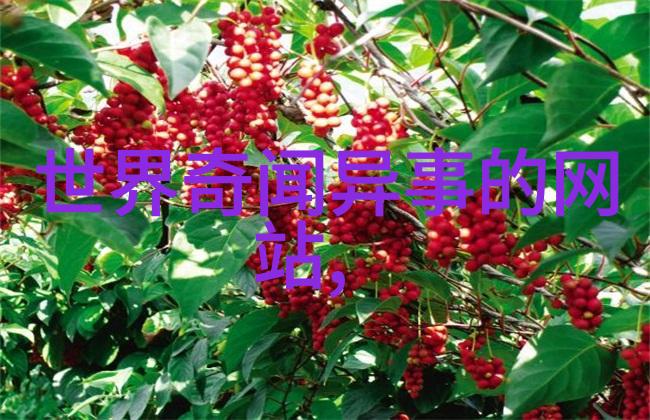 从戚继光打鬼子到蓟镇长城防务(图)看来古代的边塞生活也挺有趣的但你知道吗从秦朝到清朝一共过了几十个历