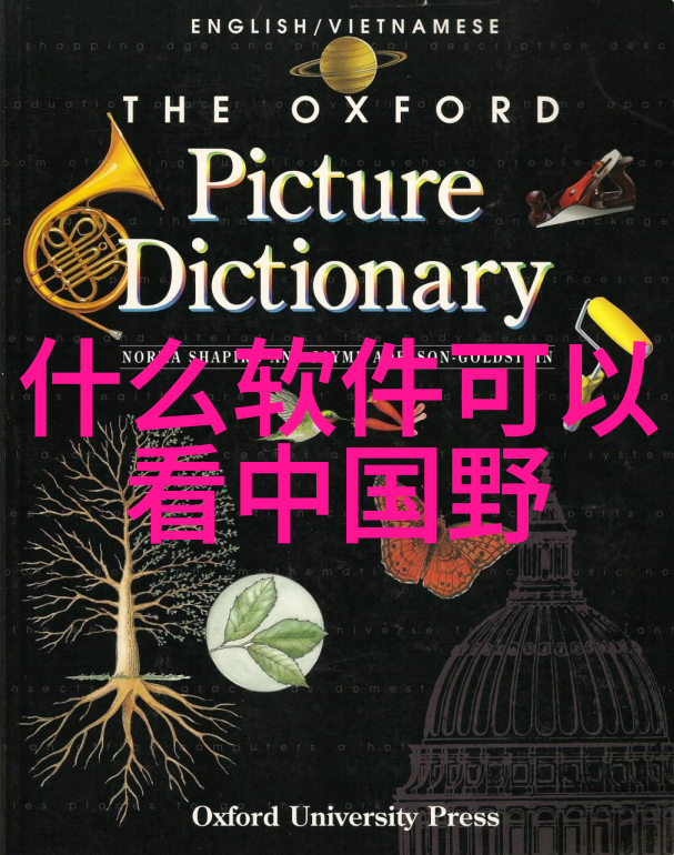 唐朝好男人2安史之乱后为什么皇帝不敢削藩
