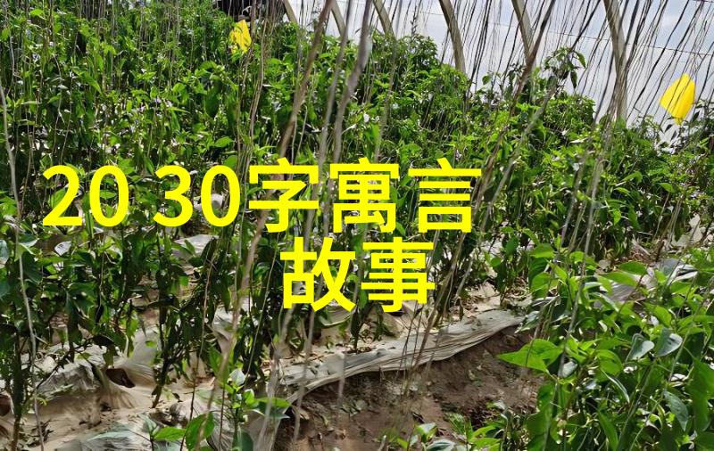 英语老师的大白兔子一段关于味蕾与语言的奇遇