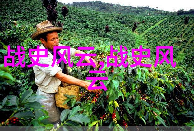 揭秘大明朝代排表背后的万历十五年惊魂夜