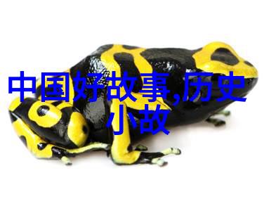 双人床上打扑克游戏全程录像情侣间的温馨互动