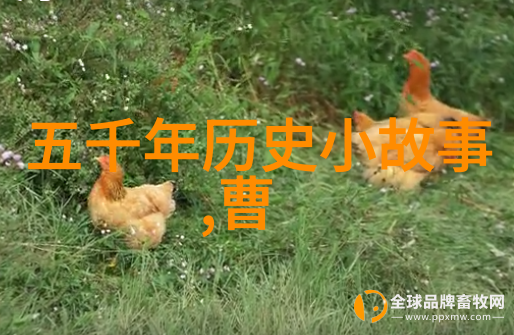 神话故事牛郎织女的星辰恋情牛郎织女跨越千年的爱情传奇