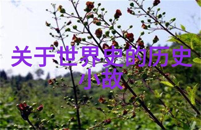 探索中华神话故事中的文化多维度从象征意义到社会功能的考察