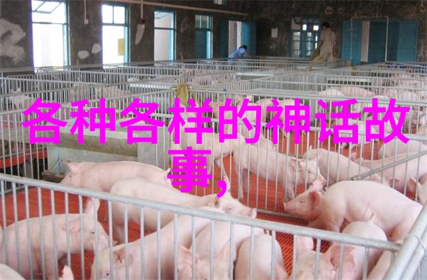 琪2013我是歌手第一季光芒永恒的旋律