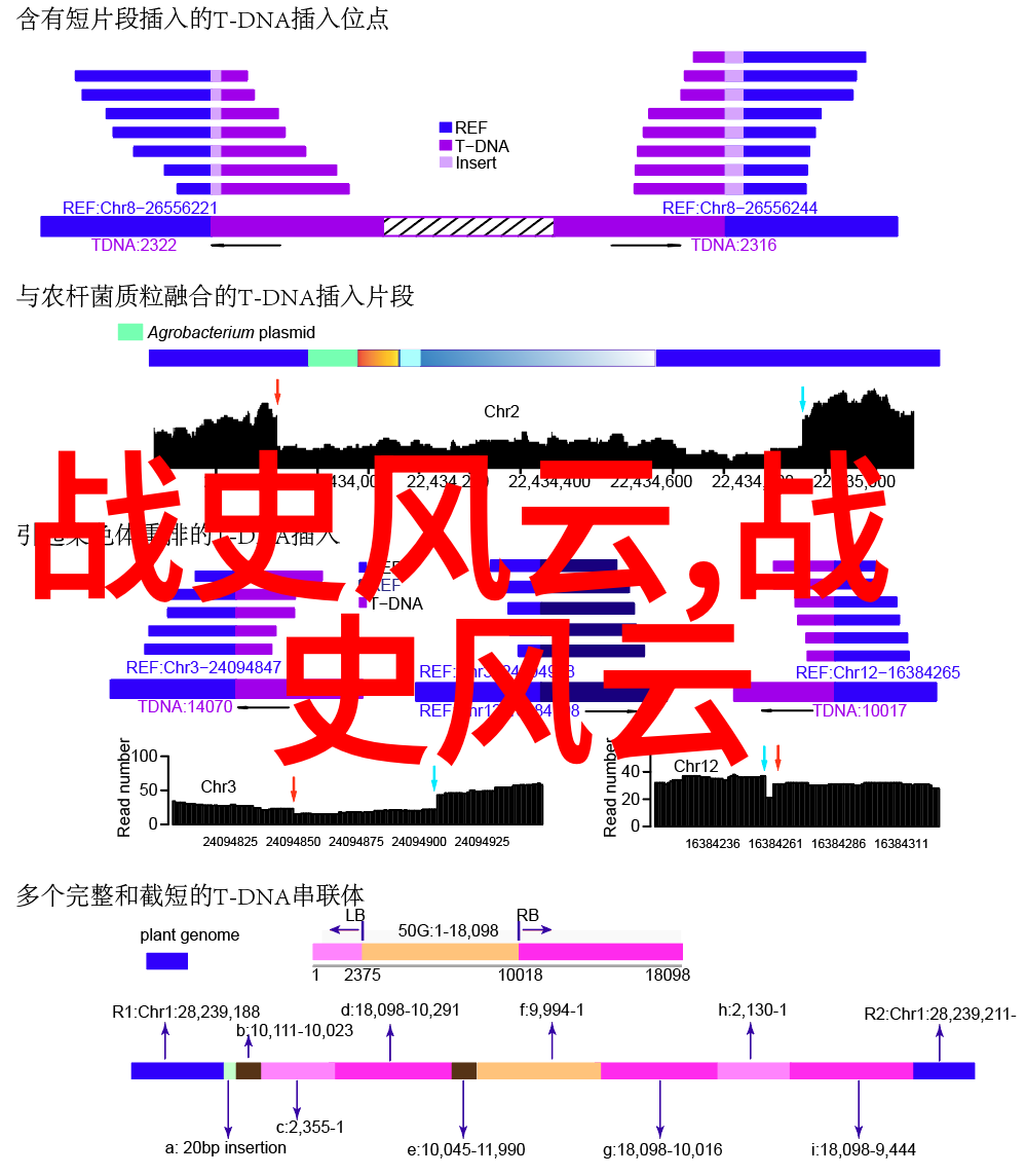 京剧票友刘郁厚化身为京剧十三个人物中的精彩演员