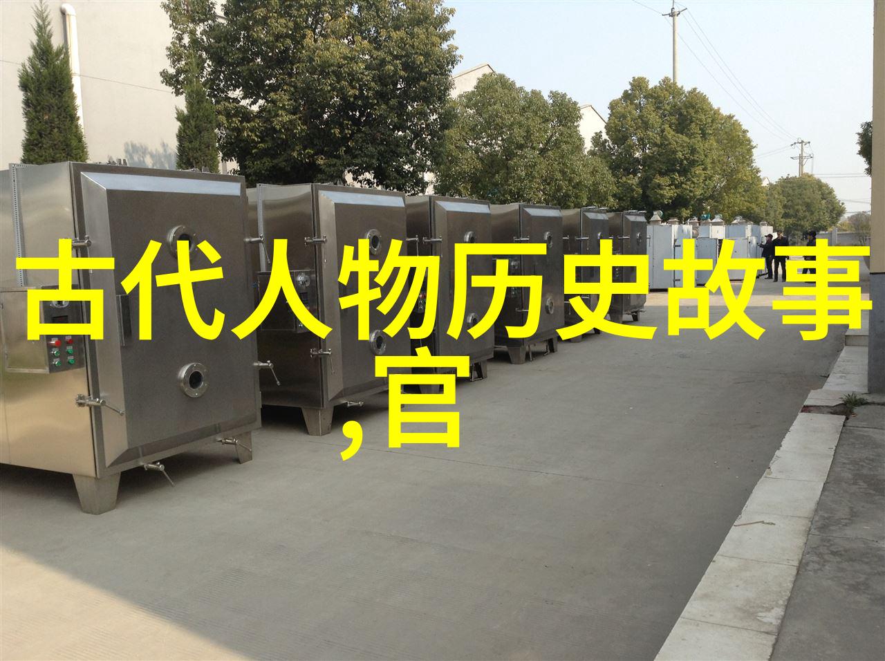 血染的花园二战中的奇迹与悲剧