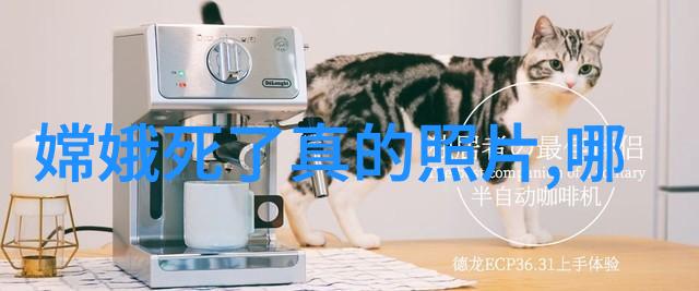 西方民间故事中隐藏的大自然秘密动物寓言集锦