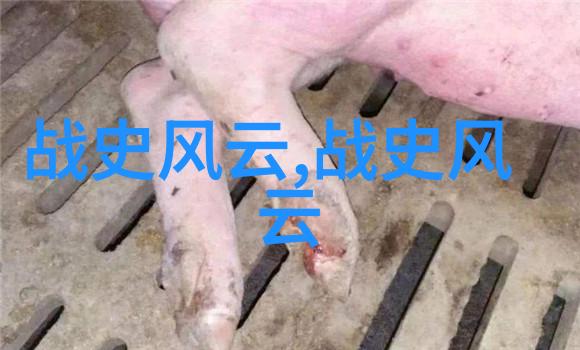 中国神话故事我和祖先的奇幻冒险猴王孙悟空的秘密