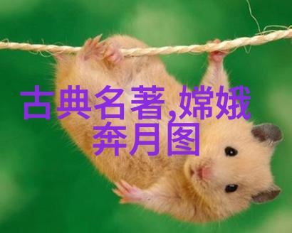 刘克庄的诗文全集岂不正是中国名人简历中的瑰宝