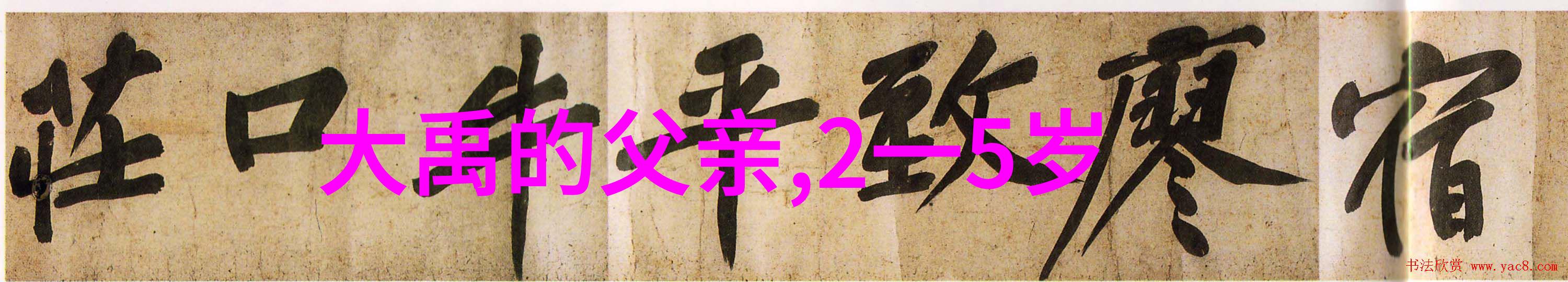 他为何成为中国贡献的代表人物