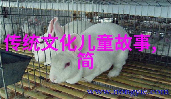 预言小能手7岁童星的山洞终局