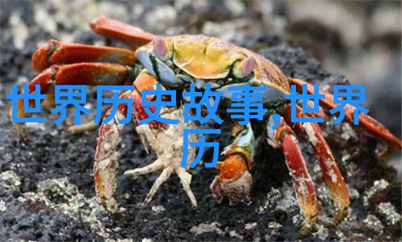 五代十国灭亡后历史我眼中的乱世从杨吴到北宋的转折